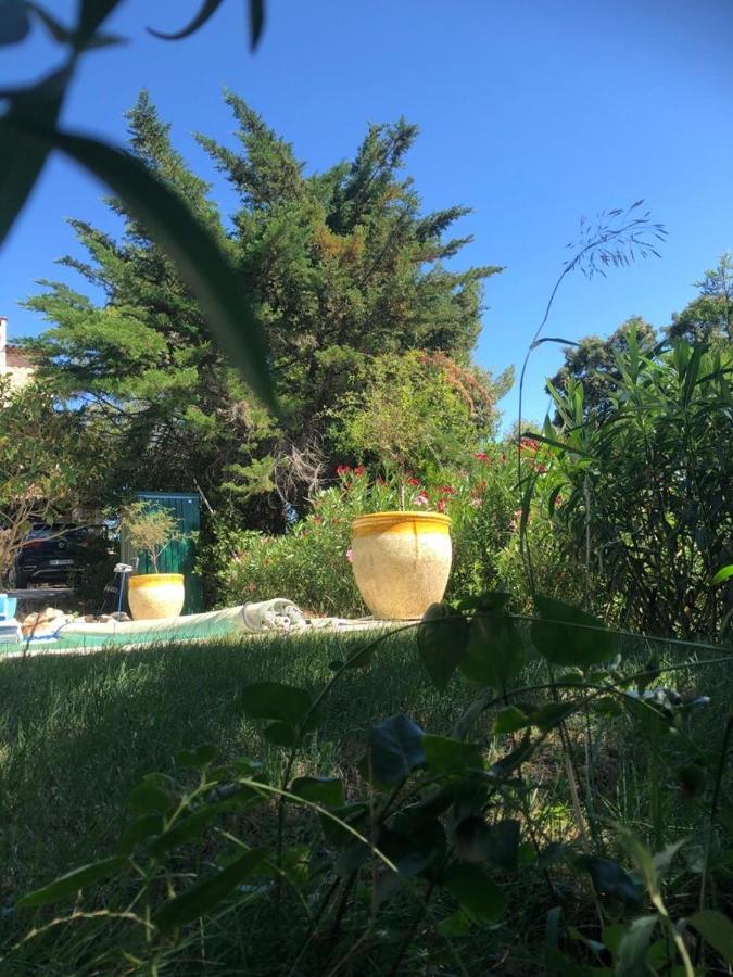 B&B Oasis Des Lavandes - Chambre Coqueliot Villeneuve-lès-Avignon Exteriör bild